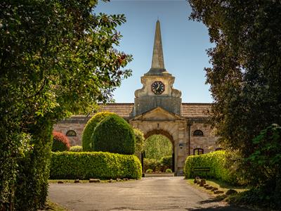 Picture 23